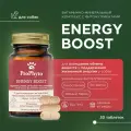 Добавка пищевая ProPhyto для взрослых собак Энерджи Буст для поддержания энергии, 30 таблеток
