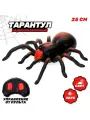 Паук радиоуправляемый Тарантул на пульте управления