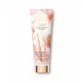 Лосьон для тела Victoria's Coconut Milk & Rose 26573401, для всех типов кожи, 236мл