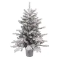Настольная елка в горшочке грандис, заснеженная, хвоя литая+ПВХ, 45 см, Kaemingk 681481
