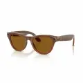 Умные очки Ray-Ban Skyler, поляризационные линзы Polar Brown, оправа Shiny Caramel