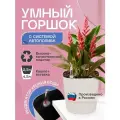 Горшок/Кашпо с автополивом для домашних растений и цветов 4,5л Слоновая кость