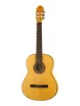 Hora N1105 Flamenco Классическая гитара 4/4