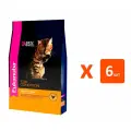 EUKANUBA ADULT TOP CONDITION для взрослых кошек с птицей (2 кг х 6 шт)