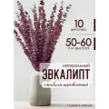 Эвкалипт стабилизированный сухоцвет для декора
