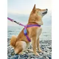 Шлейка для собак Japan Premium Pet Простая фиксация анатомическая с силиконовым креплением, цвет розовый, размер L