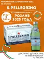 San Pellegrino 24 шт.*0,25 л в стеклянной бутылке (Сан Пеллегрино), вода минеральная газированная