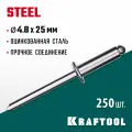 Заклепки KRAFTOOL 4.8 х 25 мм, 250 шт, стальные Steel