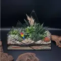 Флорариум с суккулентами от Flolefor Лесные джунгли, 22х10х17 см (ДхШхВ)