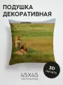 Подушка декоративная, 45x45см / Животные / львы / лев / львица / хищники / дикая природа