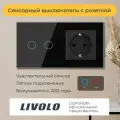 Двухклавишный сенсорный выключатель Livolo с розеткой