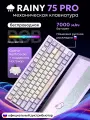 Беспроводная клавиатура Rainy 75 PRO для компьютера с подсветкой RGB, проводная игровая клава 75%