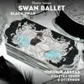 Тени для век Swan Ballet 02