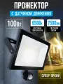 Уличный светодиодный прожектор LEEK LE LED FL IR, 100Вт, IP65, с датчиком движения