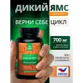 БАД дикий ЯМС для женщин в период менопаузы и климакса, 60 капсул