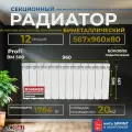 Радиатор отопления секционный биметаллический Profi BM 500 12 секций параметры 567х960х80 боковое подключение (батарея) ROMMER , Сантехническая нить 20 м