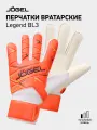 Вратарские перчатки футбольные Jogel Legend BL3 Flat, размер 6