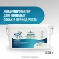 Хондропротектор для суставов, витамины для собак крупных пород Джуниор для щенков и молодых собак, 1200 г