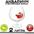 Аквариум vecchio vaso шар круглый стеклянный для рыбок бокал 2 литра