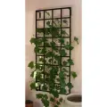 Шпалера решетка настенная садовая для плетистых растений ( цельная , не разборная , прочная)