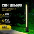 Уличный светодиодный светильник Apeyron Shadow 31-12