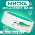 Пижон Миска керамическая Любовь и коты 300 мл 12,5 x 4,5 cм, мятная