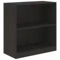 Низкий стеллаж открытый SKYLAND SIMPLE SR-2W, дуб юкон модерн, 77х36х79 см с двумя полками