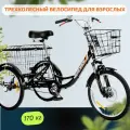 Трехколесный велосипед для взрослых РВЗ Чемпион, 20, черный