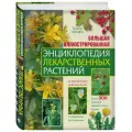 Ильина Т.А. Большая иллюстрированная энциклопедия лекарственных растений твердый офсетная