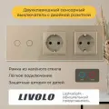 Двухклавишный сенсорный выключатель Livolo с двойной розеткой