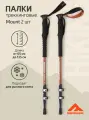 Треккинговые палки Hiking Mount, 65-135 см, 3-секционные, терракотовый