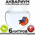 Аквариум vecchio vaso шар круглый стеклянный для рыбок 6 литров
