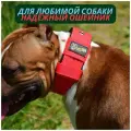 Ошейник для собак DOGTON. Широкий ошейник 5.5 см. Подходит для прогулки и дрессировки. Сварная фурнитура. Высокая прочность.