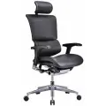 Эргономичное офисное кресло Falto Expert Sail SAL-01 (черная кожа, черный каркас)