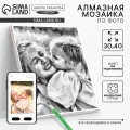 Алмазная мозаика по фото с полным заполнением Gray , на холсте с подрамником, 30 х 40 см