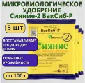 Микробиологическое удобрение Сияние-2 БакСиб-Р 5 шт