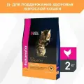 Eukanuba Top Condition, Сухой корм для кошек для здоровья кожи и блеска шерсти, с домашней птицей 2 кг