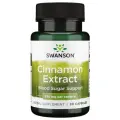 Swanson Cinnamon Extract (Экстракт корицы) 250 мг 90 капсул