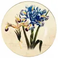 Тарелка настенная 27 см, декор Ирис тигровый