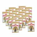 Royal Canin British Shorthair Adult влажный корм для взрослых британских короткошерстных кошек в соусе, в паучах - 85 г х 20 шт.