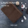 Полотенце махровое Lameirinho Aqua 70x140см, цвет коричневый