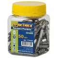 Бита Практика Профи PZ-2 х 50мм (50шт), банка 776-621