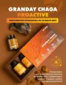 Концентрат для напитков Арт Лайф Granday Chaga, чага, иммунитет, антиоксидантная защита
