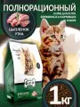 Корм сухой для котят, беременных и кормящих кошек Gina Kitten Chicken, цыпленок, утка, 1 кг