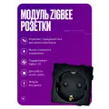 Умная розетка Zigbee, модуль без рамки, с заземлением и шторками, 16А, черная, для умного дома