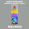 Аэрозольная полиуретановая эмаль, спрей 520мл, цвет RAL9022 Перламутровый светло-серый