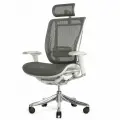 Кресло FALTO SPRING 2 (поясничный валик, подлокотники 6D(360), сетка, светлый)