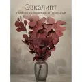 Эвкалипт стабилизированный натуральный сухоцвет для декора