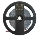 Jazzway Светодиодная лента Jazzway PLS PRO 2835 5015715