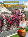 Фотосетка для забора 300х158см беседки террасы фасада декора РНК